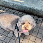 Kōki Instagram – Recent photos ☺️✨