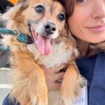Elisabetta Canalis Instagram - Hey , did you know that at the shelters there are beautiful and healthy dogs ready for adoption?
Meet Darla , little Boston Terrier . She’s very sweet and loving ❤️
Meet Isabelle little chiuaua mix who loves sitting on your lap and being cuddled .
Meet Charlie , a blonde and furry mix who loves walking at leash and exploring the surrounding, he also has a  fun and playful personality ! 
The last beautiful lady is Bonnie a young and sweet  Doberman who is looking for her forever home! 
They are just few of the  guests at West Los Angeles Animal Shelter located in 11361 West Pico Blvd.
• Los Angeles, CA 90064
Link in bio