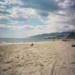 Sofia Wylie Instagram – I think I… like it here?