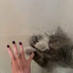 Alinne Moraes Instagram – 🐈🤍