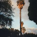 Sofia Wylie Instagram – I think I… like it here?