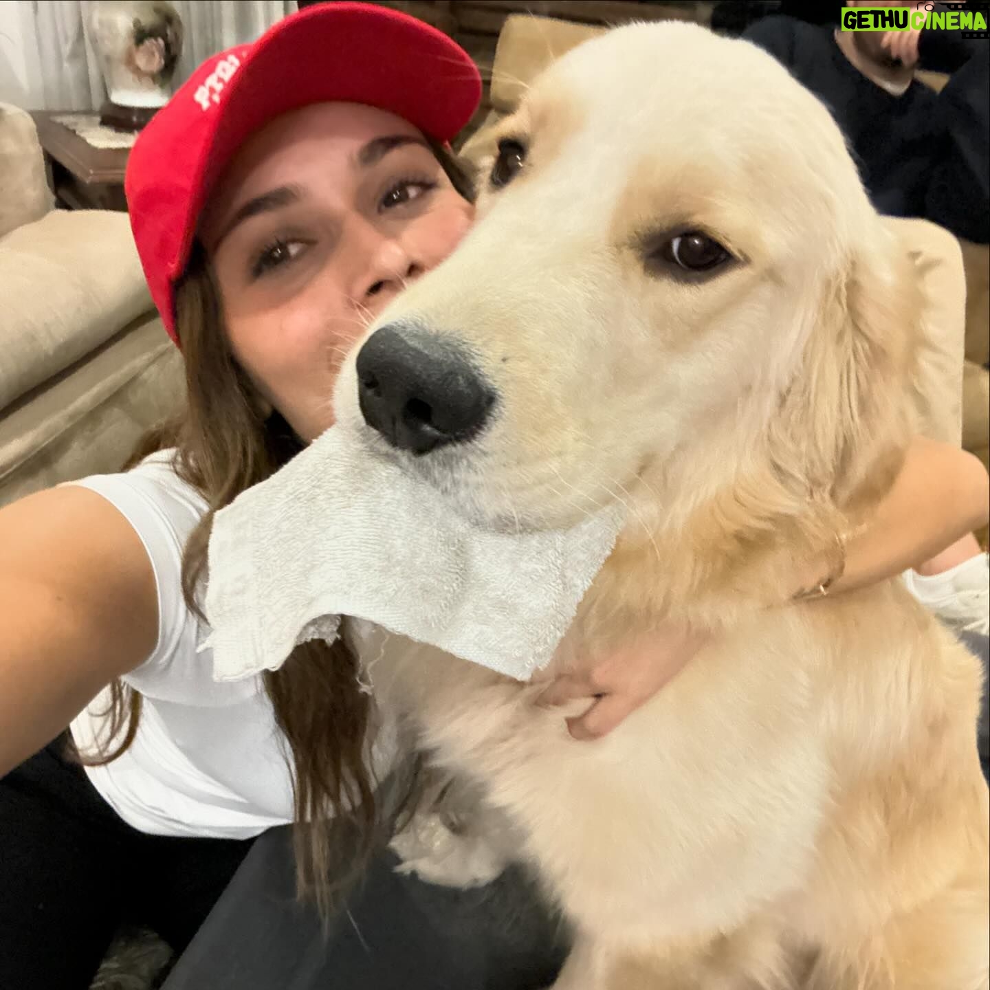 Daniela Calle Instagram - Dias en Bogota💛
Fotos para…. Comenten que creen!
Heladito
Proyecto genial
🏎️
@adidasco fam
Perrito lindo 🥹
Papa💛
Yo llorando porque me chuzaron etc
Yo feliz otra vez para terminar