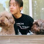 Kōki Instagram – 春らしい天気ですね💗☺️

マミーが植えたフリージアが満開です💕