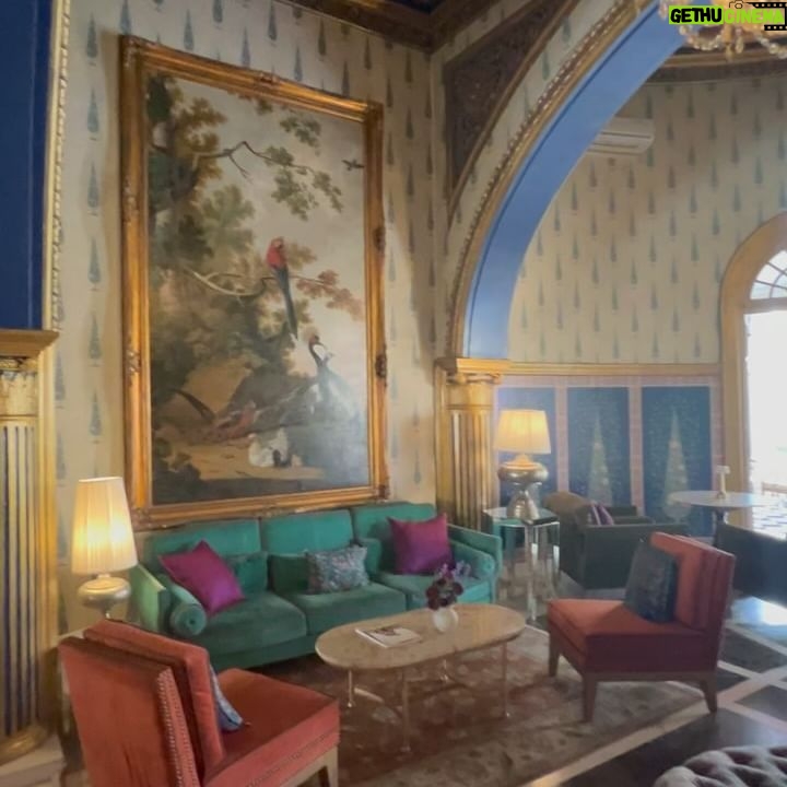 Beauty Gonzalez Instagram - Pink in the Pink City๐
Olivia absolutely loving our new digs in Jaipur.
The very opulent and chic @therajmahalpalace
Sleeping at the same bed Queen Elizabeth 2 slept in in 1961 is kinda surreal and fun ๐