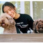 Kōki Instagram – 春らしい天気ですね💗☺️

マミーが植えたフリージアが満開です💕