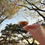 Hyomin Instagram - 예절과 인성 두마리 토끼를 다 잡아버린 어제의 요약. 풀이는 2편에 계속... 🐇🥃