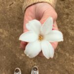 Ludwika Paleta Instagram – 🇬🇧