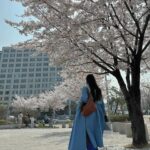 Hyomin Instagram – 벚꽃놀이는 처음이라… ❀.❀