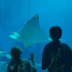 Ayza Anokhina Instagram – На папу заработаю скоро 😹😜 @atlantisthepalm #AtlantisThePalm