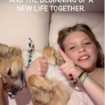 Elisabetta Canalis Instagram - Charlie mi hai fregato anche tu come Nello e Megan! 
Vi presento Charlie, abbandonato a 10 anni  come una scarpa vecchia al canile in cui i cani anziani non sono famosi per avere molte chance. 
Ci ho pensato, ho fatto diverse inversioni a U e poi sono tornata indietro, qualcosa di Charlie mi aveva colpito, la sua voglia di vivere e la sua allegria nonostante fosse in quella gabbia chiuso da 10 giorni insieme a tante anime perse che non dovrebbero trovarsi li. 
Abbiamo deciso di aggiungere un posto a tavola e di fare di Charlie un nuovo membro della famiglia. Buona vita Charletto ❤️

Thanks to @westlasheltervolunteers and to all the people who every day work there, scarifying their time and dealing with very hard cases. You guys are angels ❤️