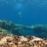 Sarah Michelle Gellar Instagram – Vacation dump 2 – underwater edition (bonus points for finding Flotsam or was it Jetsam ?!? )