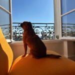Angèle Instagram - 🧳🍸🎶📝🛌🏝️🗽🌞🧦🍪🫧