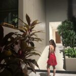 Rabia Soytürk Instagram - 🌹