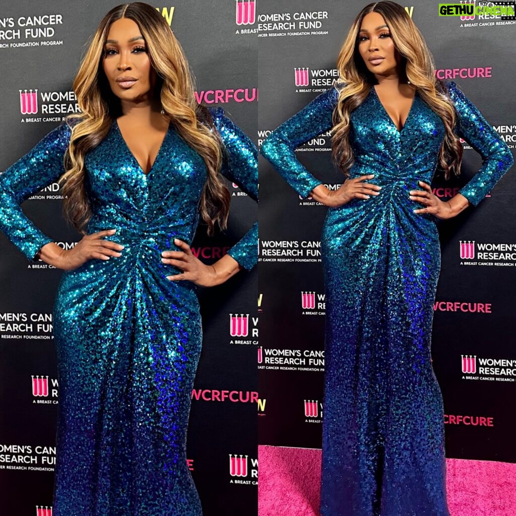 Cynthia Bailey Instagram - “incredible evening supporting @wcrfcure spreading love and raising fund’s & awareness. honored to serve on the committee of this life changing organization.”💞

#womenscancerresearchfund 

dress: @tadashishoji