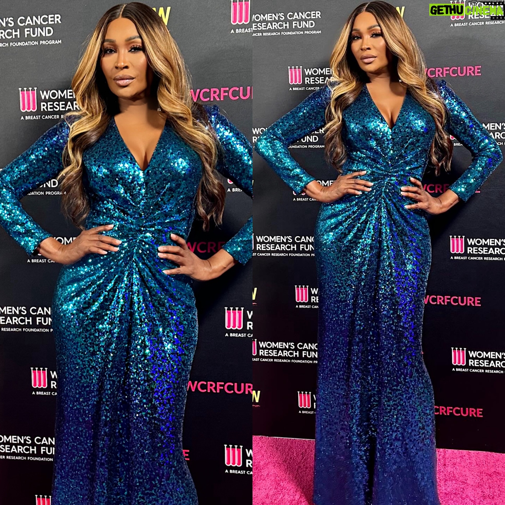Cynthia Bailey Instagram - “incredible evening supporting @wcrfcure spreading love and raising fund’s & awareness. honored to serve on the committee of this life changing organization.”💞
#womenscancerresearchfund
dress: @tadashishoji