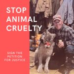 Katherine Heigl Instagram - I am heartbroken and outraged by the recent cruel treatment of a wolf in Wyoming, which was tortured and displayed at a local bar. This senseless act of violence is not only shocking but a stark reminder that our animal protection laws fail to prevent cruelty and punish offenders adequately.

The penalty for Cody Roberts, who reportedly intentionally ran over the wolf with his snowmobile, taped the animal’s mouth shut, tormented the wolf, and paraded the injured animal around a local bar before killing the creature, was a mere $250 fine. 

While it is legal to hunt wolves in this area of Wyoming, the law requires that animals be killed on the spot and not suffer heinous acts of abuse and suffering.

The punishment applied by Wyoming’s Game and Fish Department does not match the gravity of the offense and will not deter future acts of cruelty. Please join me in signing the following petition calling for Roberts to be charged with a felony: https://centerforahumaneeconomy.us/apr24-wolf?t=9cjmRf [Clickable Link In My Profile/Bio]