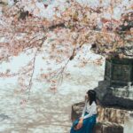 Marie Kondo Instagram – I love cherry blossoms! They bring me so much joy!
#sakura #cherryblossoms