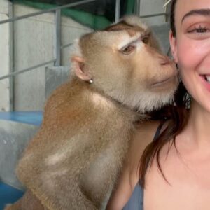 Rabia Soytürk Instagram - 🙈🐒