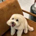 Mina Al Sheikhly Instagram – هل يومين رجعني لايام الكورونا لانو كاعدين بالبيت 😅
بس جانت اجواء حلوة 🤍

شلون جان اسبوعكم ؟ 

#myhappymoments #minasjourney