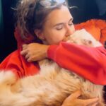 Şevval Sam Instagram - Pudra şekerim Pudrik’im’e bi maşallahınızı rica ediyorum efenim🧿🧿🧿🧿🧿🥰 🐈
