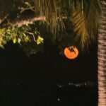 Clarissa Molina Instagram - Uno de los regalos de Dios que más aprecio. 🌕 

También amo los atardeceres, el mar, bueno, la naturaleza en general. Cuál es ese regalo para ti?