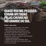 Wanessa Camargo Instagram - 🆘 RIO GRANDE DO SUL
Tenho certeza que vcs estão tb de coração partido com tudo que estão vendo, mas eu soube diretamente de pessoas que estão lá que o que tá aparecendo na mídia não é 10% do que está realmente acontecendo, é muitoooo mais grave.
Vamos ajudar? Além de muita oração, vamos de ação! Estou convocando o máximo de pessoas possíveis pra essa corrente do bem na qual também faço parte!
