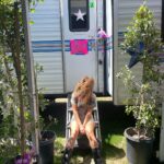 Tove Lo Instagram – CHELLAAAA with @domdolla aaaaa 🌪️🪩👽👣