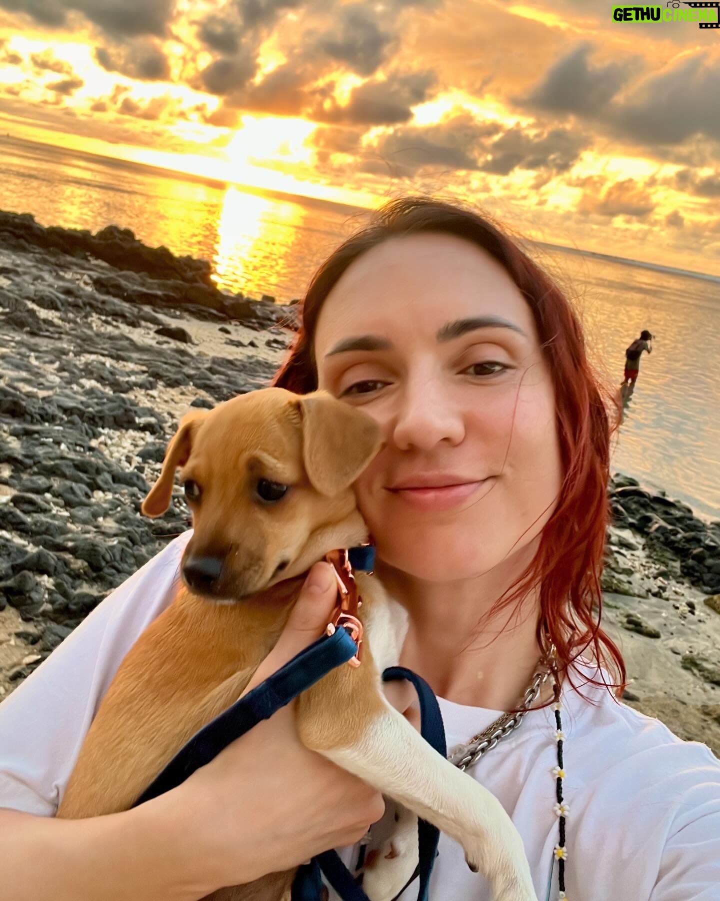 Nathalie Odzierejko Instagram - L’amour pur ❤️
Ces merveilles sont à adopter. Merci @youcare_fr pour tout ce que vous faites pour les animaux et merci @ultrapremiumdirect de m’avoir invitée une deuxième fois à La Réunion, vous me faites vivre de très belles choses une nouvelle fois.
Voyage presse - collaboration commerciale