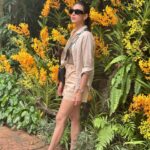 Bidya Sinha Saha Mim Instagram - Visited this beautiful place of wilderness. It was an amazing experience, never felt so close to wildlife before!! Loved every bit of my time here ❤️