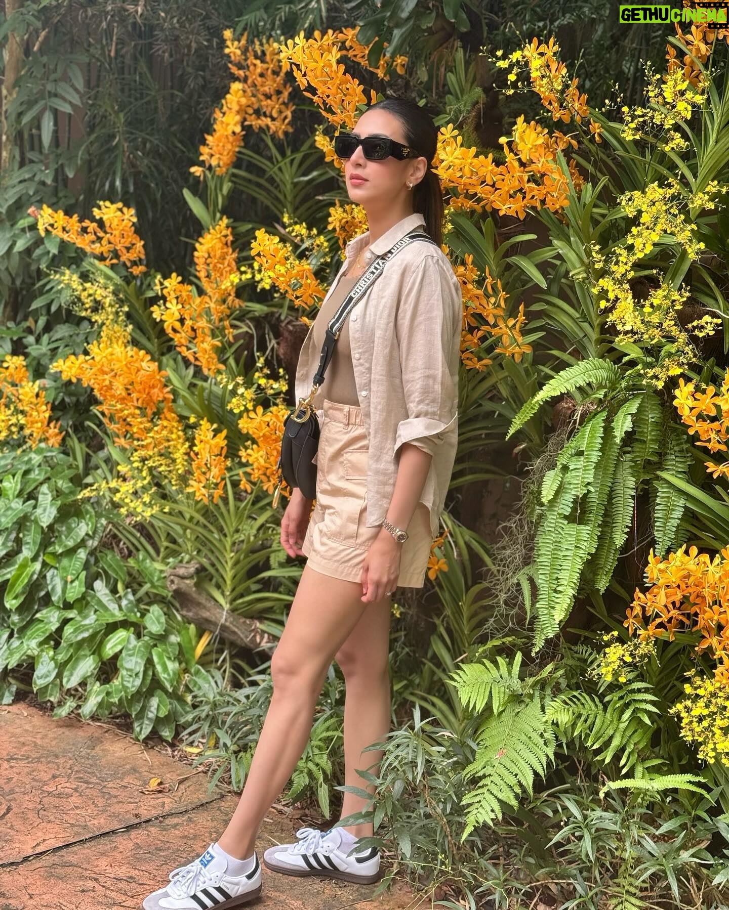 Bidya Sinha Saha Mim Instagram - Visited this beautiful place of wilderness. It was an amazing experience, never felt so close to wildlife before!! Loved every bit of my time here ❤️