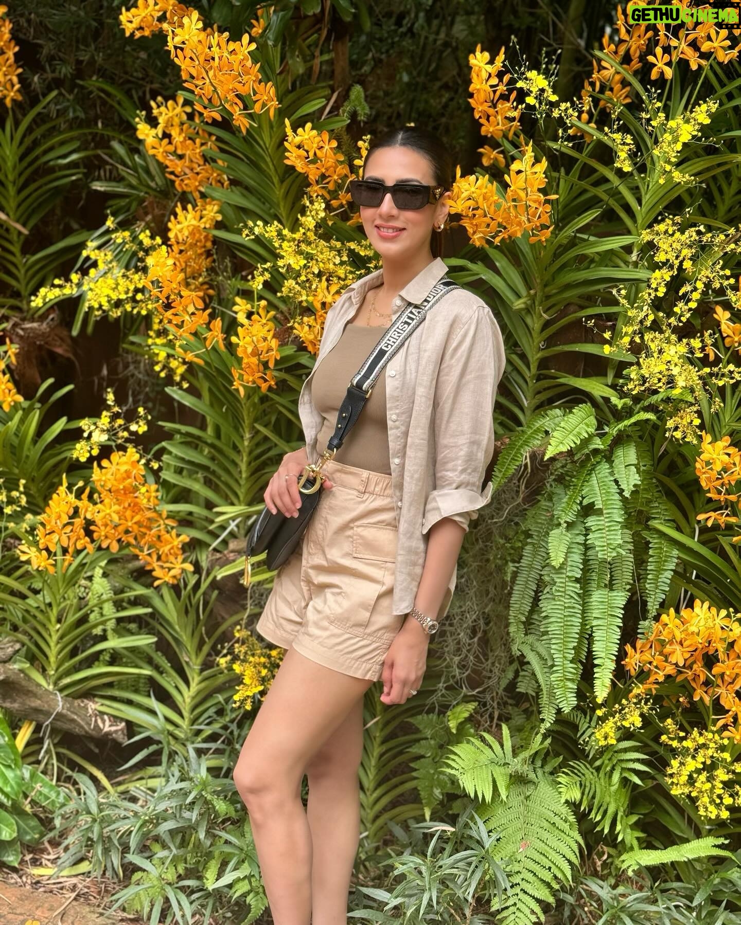 Bidya Sinha Saha Mim Instagram - Visited this beautiful place of wilderness. It was an amazing experience, never felt so close to wildlife before!! Loved every bit of my time here ❤️