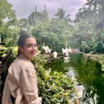 Bidya Sinha Saha Mim Instagram - Visited this beautiful place of wilderness. It was an amazing experience, never felt so close to wildlife before!! Loved every bit of my time here ❤️