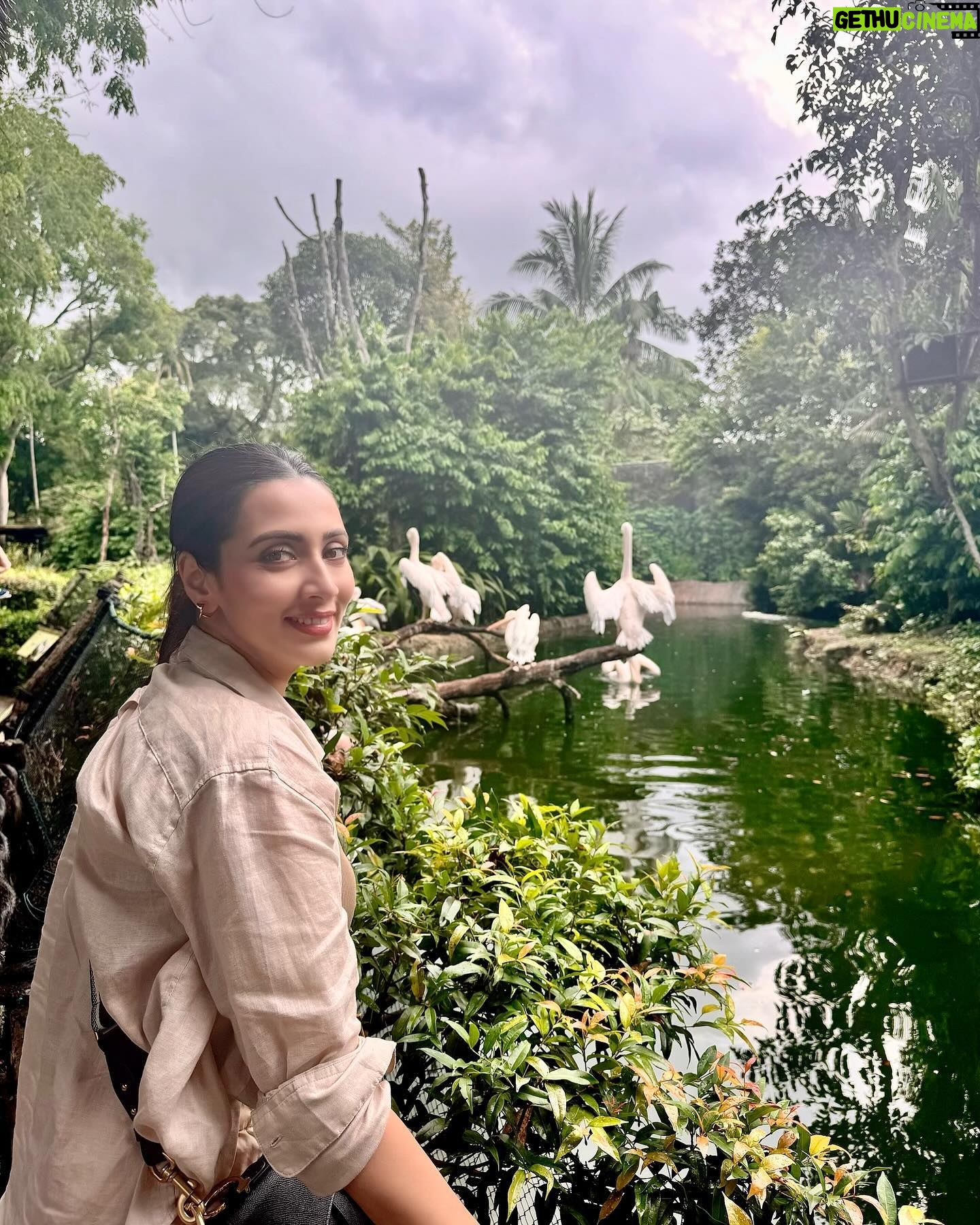 Bidya Sinha Saha Mim Instagram - Visited this beautiful place of wilderness. It was an amazing experience, never felt so close to wildlife before!! Loved every bit of my time here ❤️