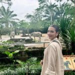Bidya Sinha Saha Mim Instagram - Visited this beautiful place of wilderness. It was an amazing experience, never felt so close to wildlife before!! Loved every bit of my time here ❤️