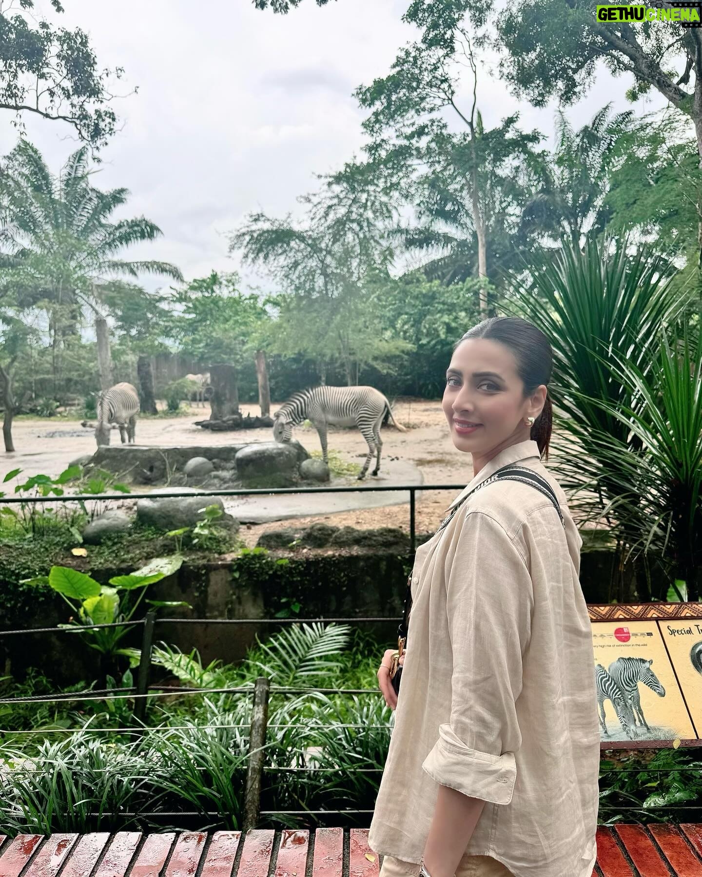 Bidya Sinha Saha Mim Instagram - Visited this beautiful place of wilderness. It was an amazing experience, never felt so close to wildlife before!! Loved every bit of my time here ❤️