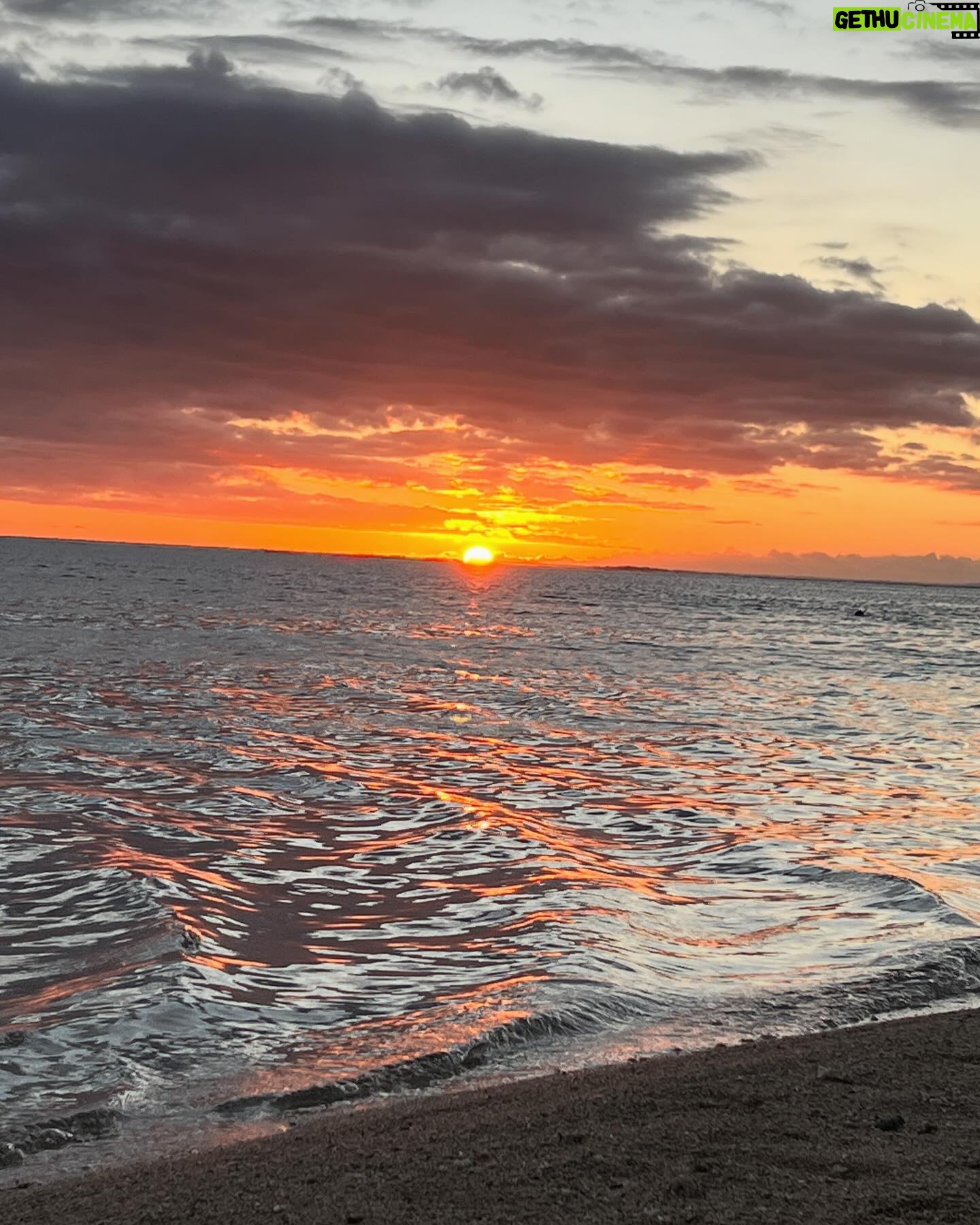 Nathalie Odzierejko Instagram - Le dump entre Paris et La Réunion ☀️
( l’avant dernière photo m’a provoqué plusieurs fous rires à la suite )