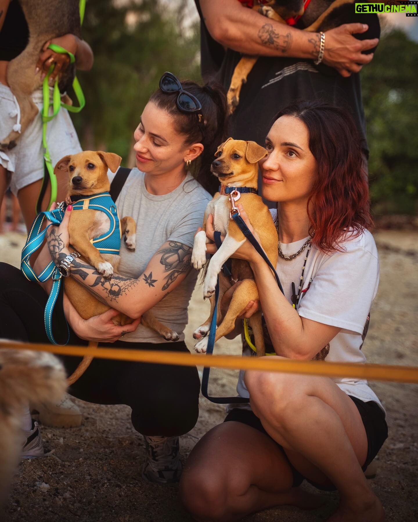 Nathalie Odzierejko Instagram - L’amour pur ❤️
Ces merveilles sont à adopter. Merci @youcare_fr pour tout ce que vous faites pour les animaux et merci @ultrapremiumdirect de m’avoir invitée une deuxième fois à La Réunion, vous me faites vivre de très belles choses une nouvelle fois.
Voyage presse - collaboration commerciale
