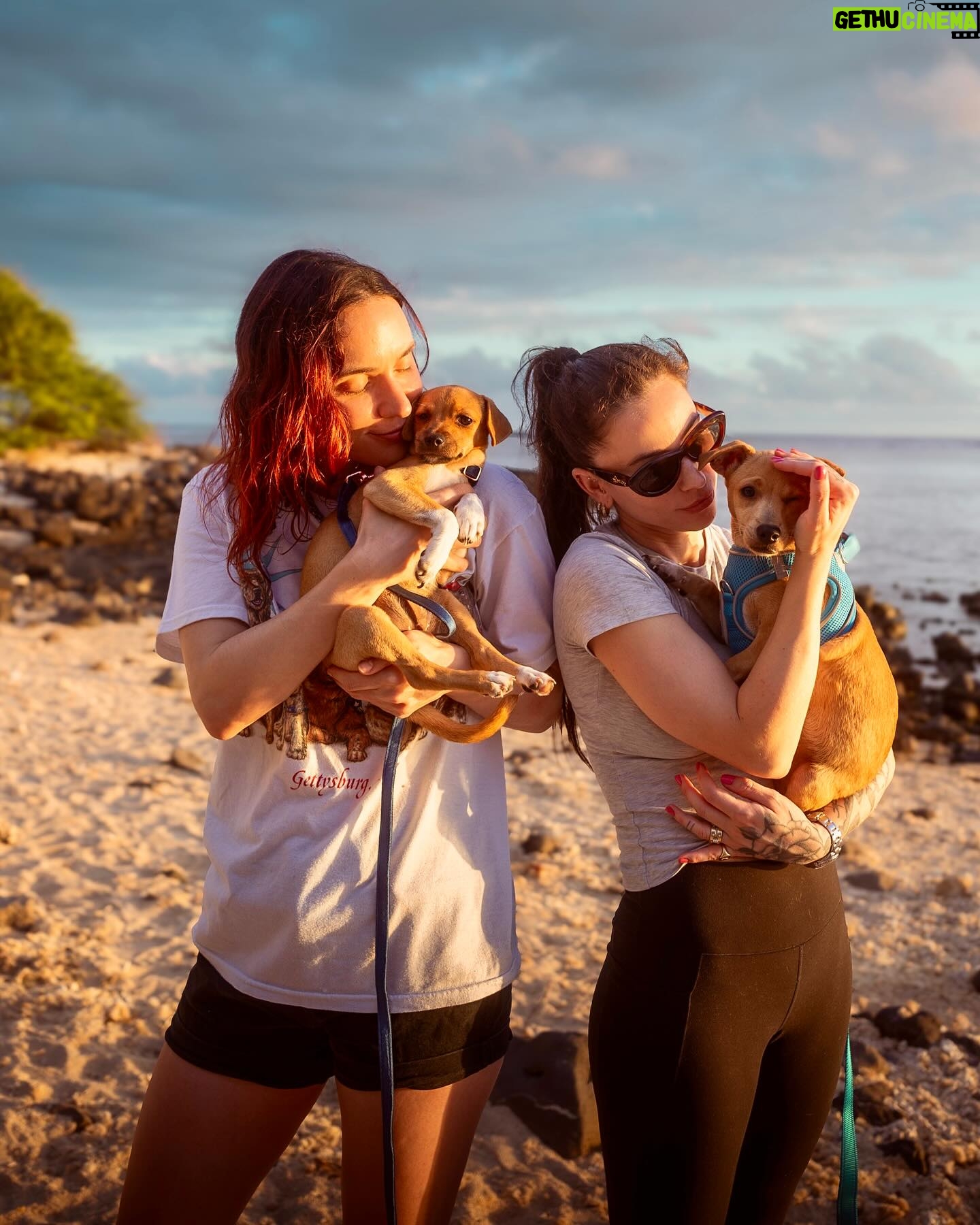 Nathalie Odzierejko Instagram - L’amour pur ❤️
Ces merveilles sont à adopter. Merci @youcare_fr pour tout ce que vous faites pour les animaux et merci @ultrapremiumdirect de m’avoir invitée une deuxième fois à La Réunion, vous me faites vivre de très belles choses une nouvelle fois.
Voyage presse - collaboration commerciale
