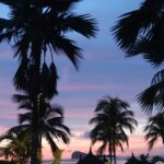 Stéphanie Durant Instagram - CONCOURS DE RÊVE 🐚🏝️☀️

Après avoir passé des vacances mémorables en famille au @luxgrandgaube, nous sommes super excités de vous proposer de gagner ces vacances à votre tour 🥰🥹

Nous vous proposons de gagner : 
2 nuits à @luxgrandgaube
2 nuits à @luxbellemare
2 nuits à @luxgrandbaie
en demi-pension dans une suite junior à chaque hôtel.

Pour participer :
- Suivez @luxgrandgaube,  @luxgrandbaie, @luxbellemare,  @theosoggiu & @stephaniedurant 
- ⁠mentionnes ton partenaire de voyage en commentaire 🏝️

Le concours se termine le 21 avril 🐚
Bonne chance à tous , on est trop heureux de vous proposer ce concours 🥹 | collaboration commerciale |