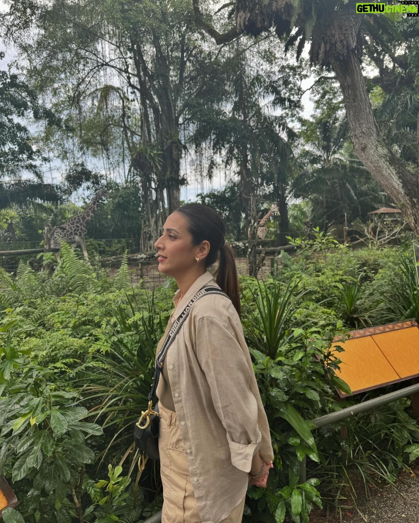 Bidya Sinha Saha Mim Instagram - Visited this beautiful place of wilderness. It was an amazing experience, never felt so close to wildlife before!! Loved every bit of my time here ❤️
