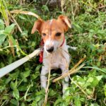 Nathalie Odzierejko Instagram – L’amour pur ❤️ 
Ces merveilles sont à adopter. Merci @youcare_fr pour tout ce que vous faites pour les animaux et merci @ultrapremiumdirect de m’avoir invitée une deuxième fois à La Réunion, vous me faites vivre de très belles choses une nouvelle fois. 

Voyage presse – collaboration commerciale