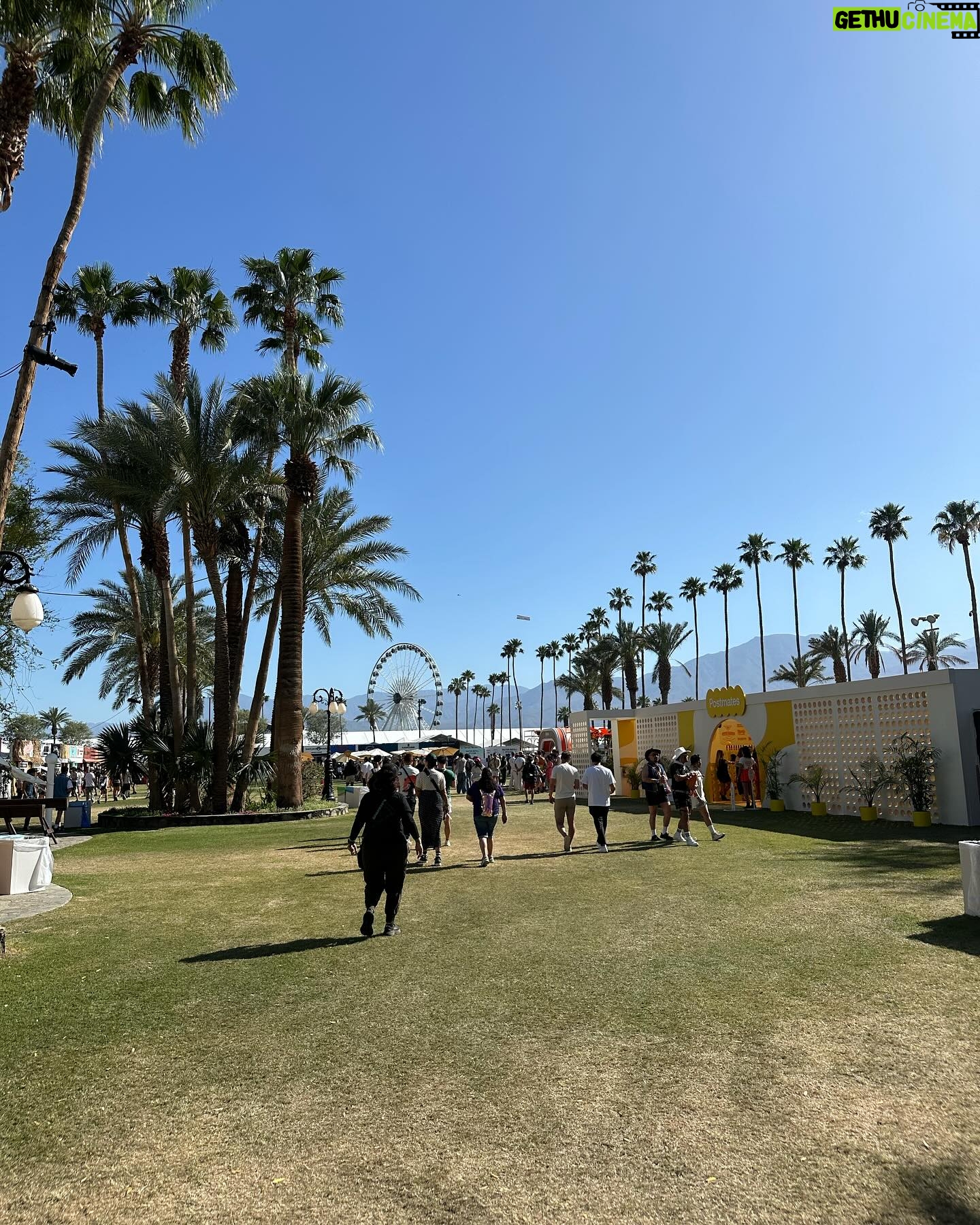 Olivia Culpo Instagram - All the Coachella tingssss 🌴🍔🎡