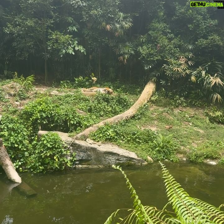 Bidya Sinha Saha Mim Instagram - Visited this beautiful place of wilderness. It was an amazing experience, never felt so close to wildlife before!! Loved every bit of my time here ❤️