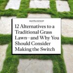 Martha Stewart Instagram – For many homeowners, a well-manicured lawn is the ultimate way to enhance your landscape’s curb appeal, which can make it easy to overlook its drawbacks. Although it looks eye catching, grass requires a great deal of maintenance to keep it lush, from chemical treatments to large volumes of water. But you can still have a beautiful yard without mowing, weeding, or fertilizing. In fact, there are a handful of traditional grass lawn alternatives that require little to no maintenance to thrive. From meadow lawns to gravel gardens, head to the link in our bio to see more grass alternatives that are beneficial to our ecosystem, lower maintenance, and beautiful to boot.