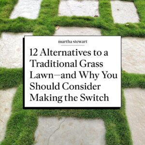 Martha Stewart Instagram - For many homeowners, a well-manicured lawn is the ultimate way to enhance your landscape's curb appeal, which can make it easy to overlook its drawbacks. Although it looks eye catching, grass requires a great deal of maintenance to keep it lush, from chemical treatments to large volumes of water. But you can still have a beautiful yard without mowing, weeding, or fertilizing. In fact, there are a handful of traditional grass lawn alternatives that require little to no maintenance to thrive. From meadow lawns to gravel gardens, head to the link in our bio to see more grass alternatives that are beneficial to our ecosystem, lower maintenance, and beautiful to boot.