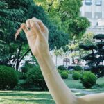 Victoria Song Instagram - 🍁🤭🌻