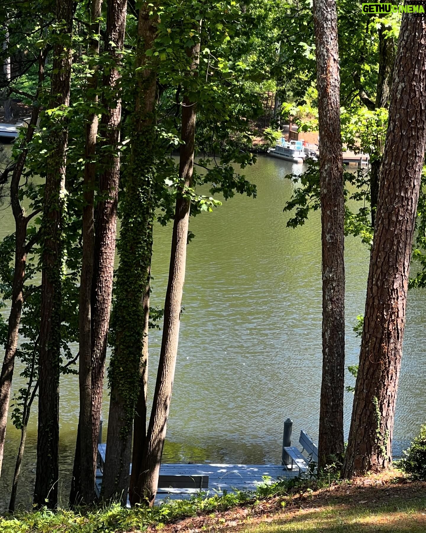 Cynthia Bailey Instagram - “& it’s a wrap!🎬
can’t wait to share this new movie with all of you.
back in HOTlanta for a HOT minute. enjoying some quiet & peaceful ME time in my happy place at Lake Bailey.
there is truly no place like home.”🎣
#lakebailey
#cynthiabailey
#positiveenergy
#staythecourse
#godswill
#love