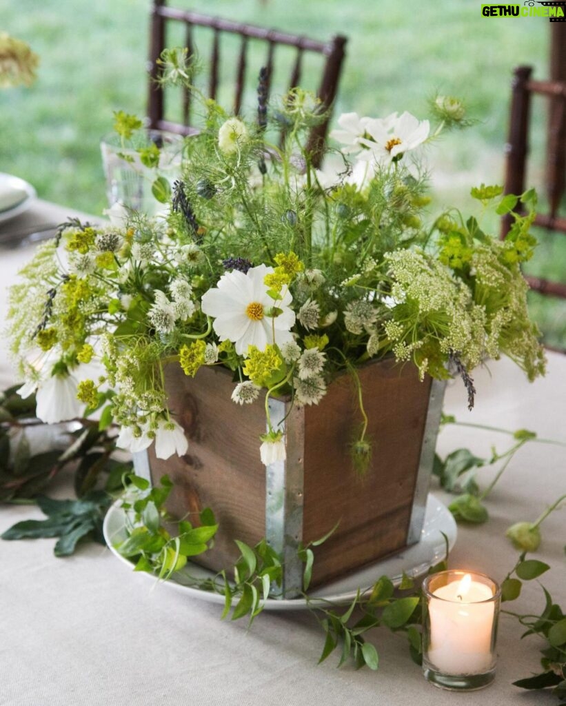 Martha Stewart Instagram - If you want to plan an eco-friendly wedding or just be more sustainably minded for any celebration you host, start with your flower selection. There are many ways to keep the environment in mind as you design your celebration’s floral landscape, from choosing in-season flowers to donating them at the end of the event. Head to the link in our bio to read our tips for decorating your event with beautiful blooms or greenery in the most sustainable way possible. 📷: Chuck Baker