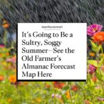 Martha Stewart Instagram – Keep your umbrellas close by. Last summer was one of the hottest on record, but this year may have it beat. According to the Old Farmer’s Almanac, which just released its summer weather forecast for 2024, summer is coming early and it’s likely going to be rainy and hot. See what’s predicted for your region at the link in our bio.