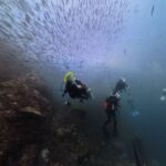 Violette Wautier Instagram - พวกเราสาวงามว่ายแต่น้ำเย็น อยากเปลี่ยนเป็นเดินนนนน 

#summerliveaboard